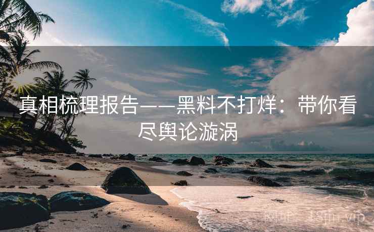 真相梳理报告——黑料不打烊：带你看尽舆论漩涡