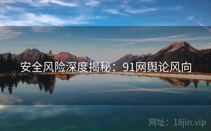 安全风险深度揭秘：91网舆论风向