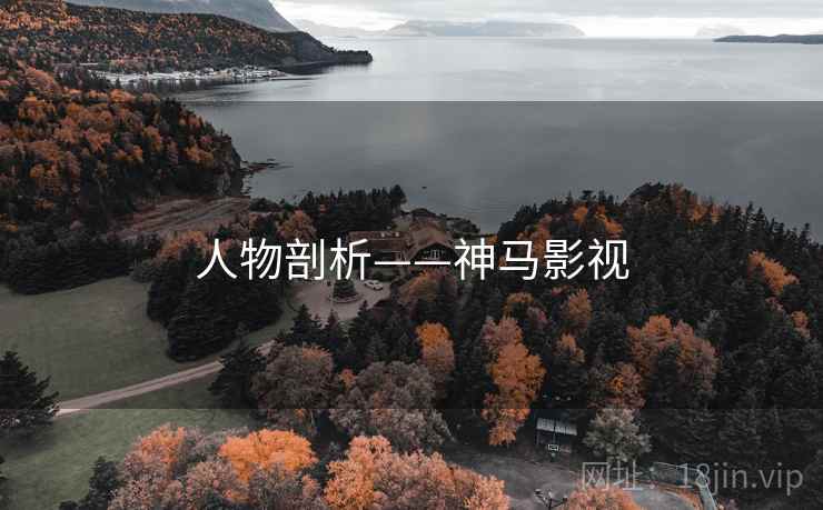 人物剖析——神马影视