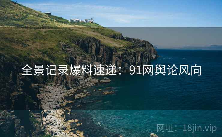 全景记录爆料速递：91网舆论风向