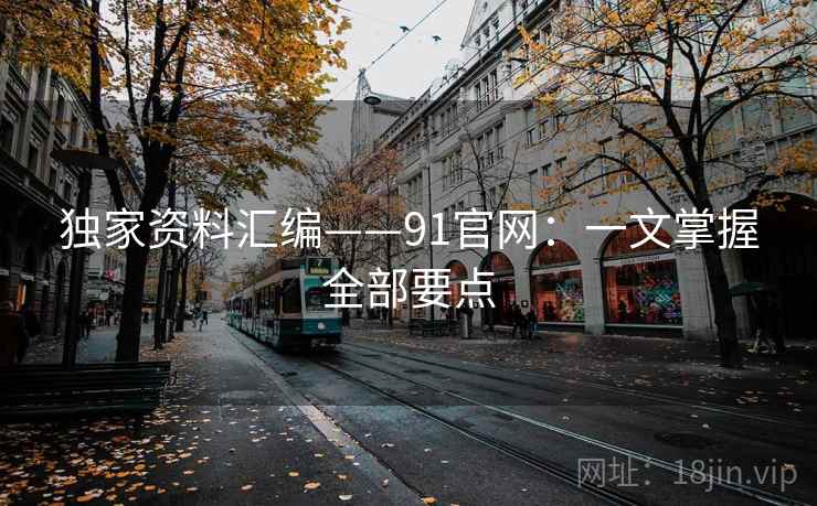 独家资料汇编——91官网：一文掌握全部要点